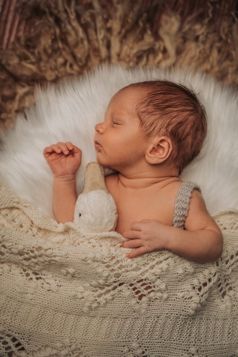 Babyfotograf Glienicke Frohnau